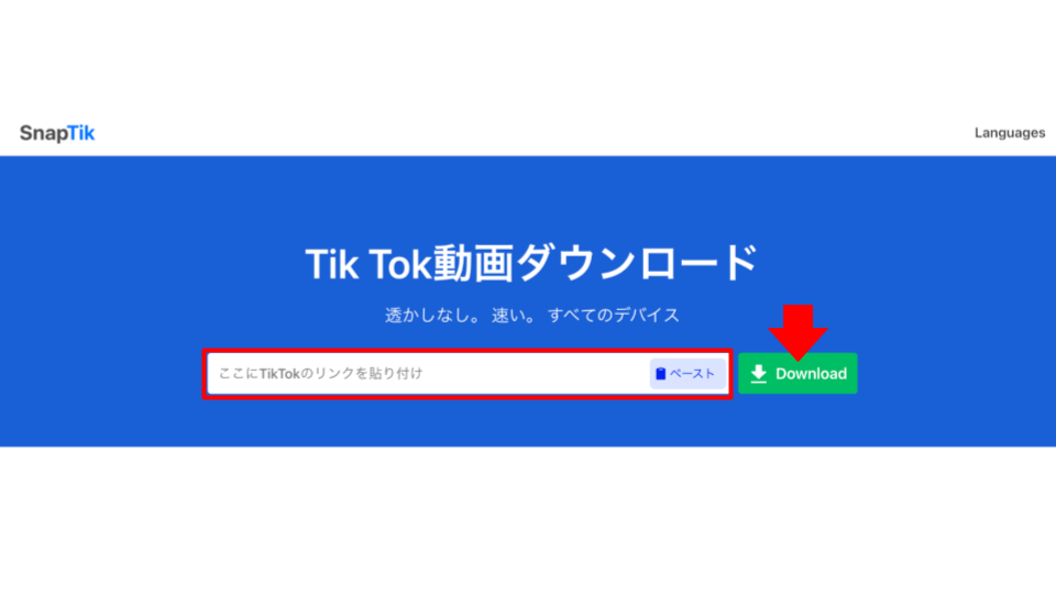 TikTok保存サイト「SnapTik」に動画のリンクを貼り付ける